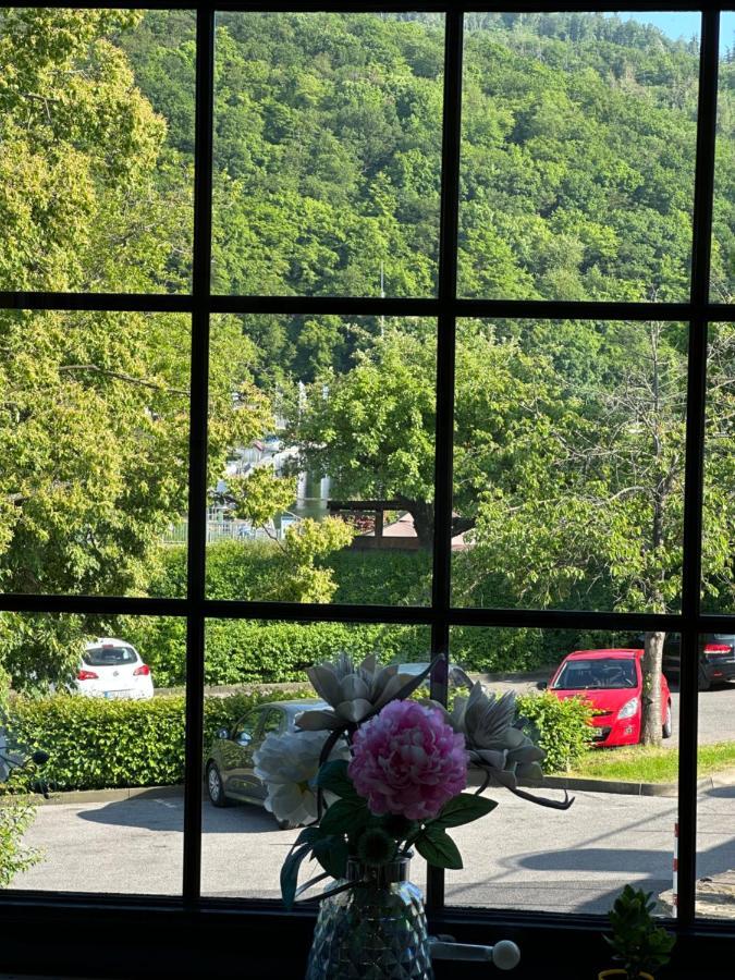 Green Seeblick Hotel Am See Obermaubach Екстериор снимка