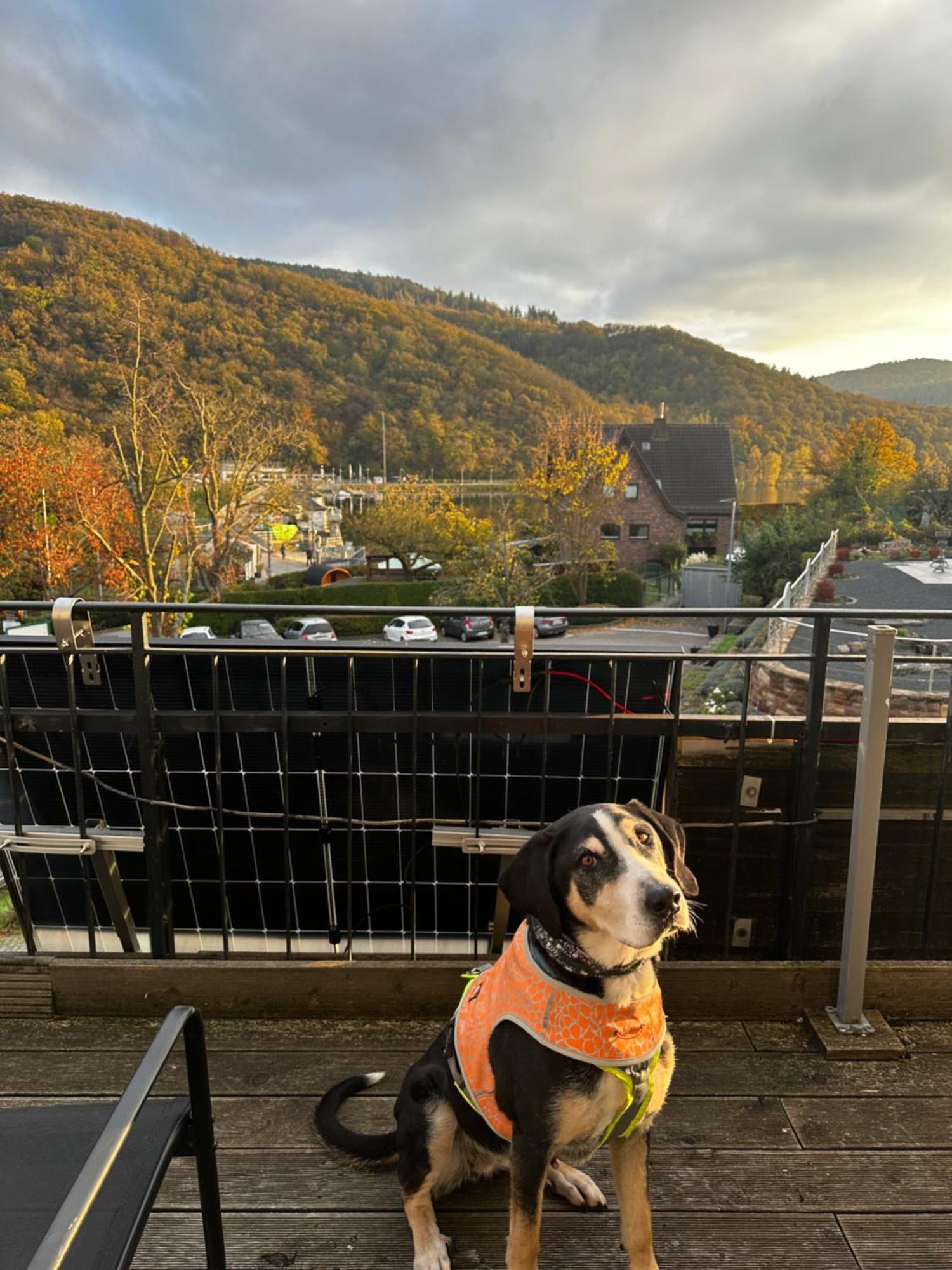 Green Seeblick Hotel Am See Obermaubach Екстериор снимка